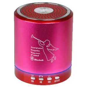 Digital Sunglash Portable Mini Speaker T-2020A